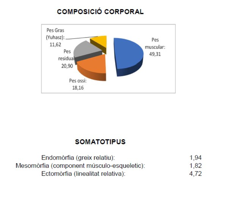 composición corporal